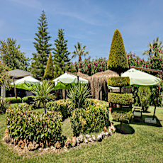 Selge Beach Resort & Spa